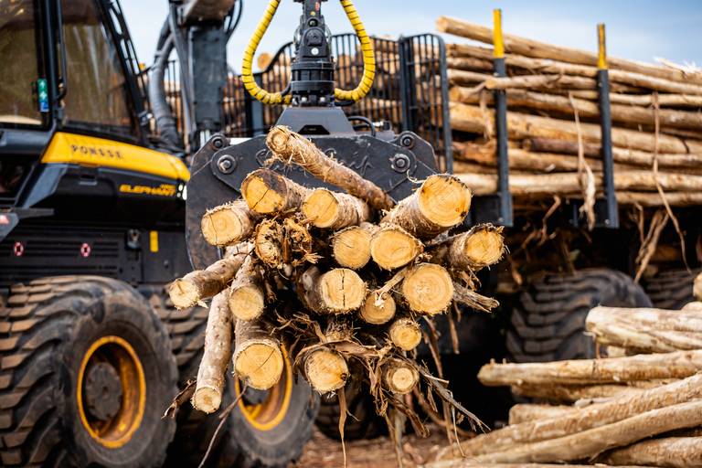 Road Show Ponsse
#marionakasefotografia #marionakase #fotografia #fotografo #ponsse #maquinasagricolas #fotodeproduto #fotografiaprofissional #cobra #elephant 
