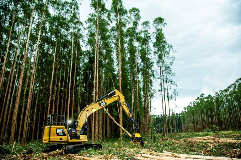 Road Show Ponsse
#marionakasefotografia #marionakase #fotografia #fotografo #ponsse #maquinasagricolas #fotodeproduto #fotografiaprofissional #cobra #elephant 