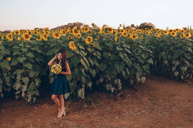 ensaio fotografico feminino book debutante 15 anos Holambra Cidade das Flores | fotografo em Guaruja Ton Prans Fotografia