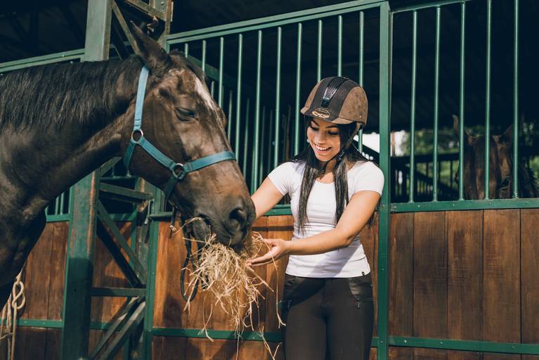 ensaio fotografico feminino book debutante 15 anos Cavalos | fotografo em Guaruja Ton Prans Fotografia