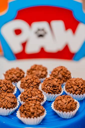 Festa Tema Patrulha Canina