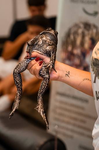 Fotografo em São Paulo