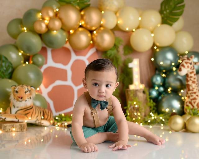 smash the cake safari