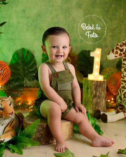  book 1 aninho safari