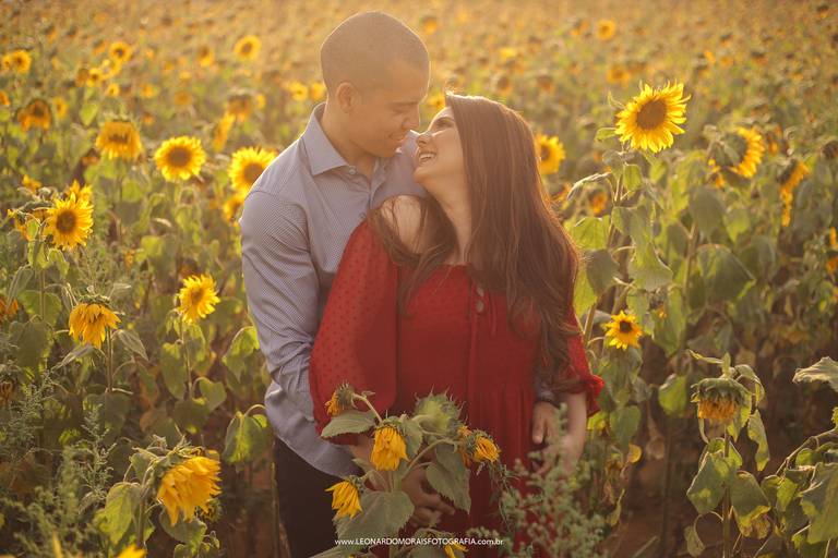 prewedding-plantação-girassol-holambra