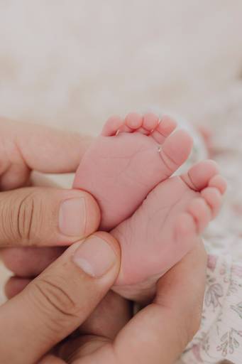 estúdio de fotografia newborn Curitiba fotógrafa newborn Curitiba ensaio newborn Curitiba 