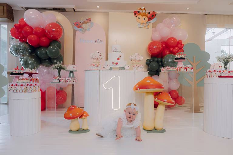 fotográfa festa infantil Curitiba festa infantil Curitiba Foto festa infantil Curitiba  