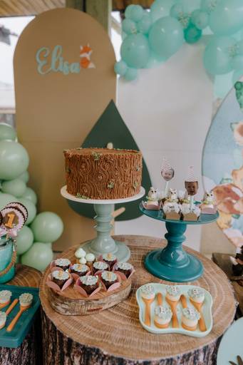 fotográfa festa infantil Curitiba festa infantil Curitiba Foto festa infantil Curitiba  