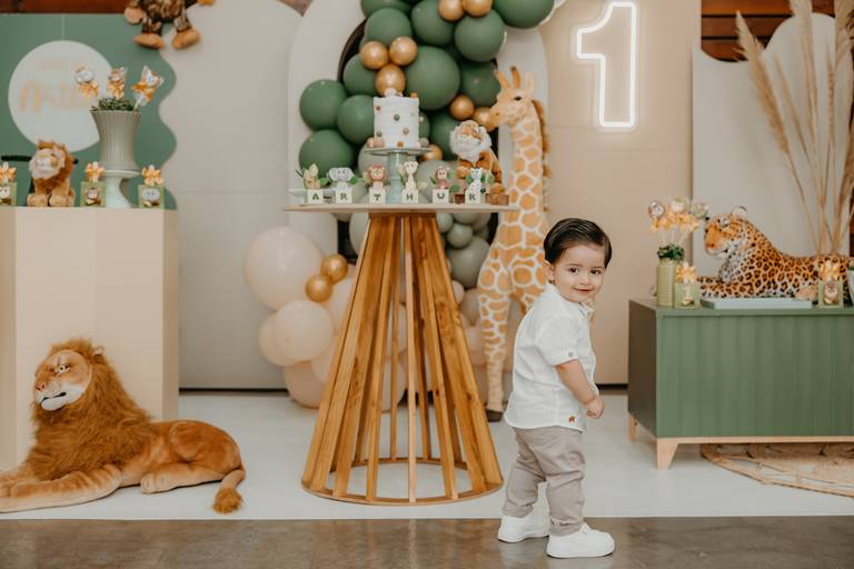 fotográfa festa infantil Curitiba festa infantil Curitiba Foto festa infantil Curitiba  