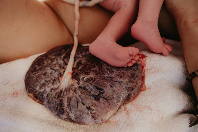 Fotografia de parto Curitiba Fotos de parto Fotógrafa de parto Curitiba   