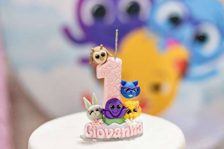 Fotógrafa de Volta Redonda, capturando momentos especiais de aniversário infantil.