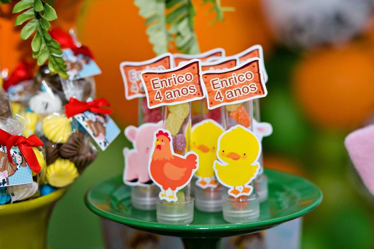 Fotógrafa de Volta Redonda, capturando momentos especiais de aniversário infantil.