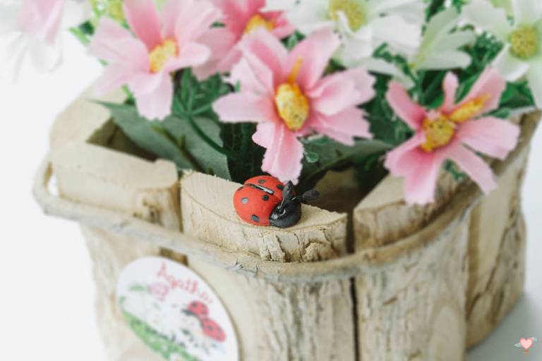 Festa Infantil e Barizado Barra da Tijuca RJ