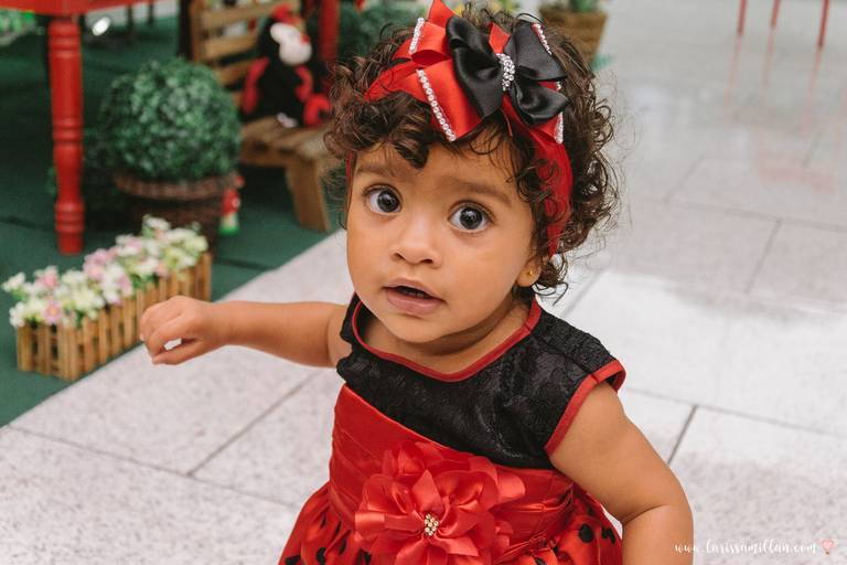 Festa Infantil e Barizado Barra da Tijuca RJ