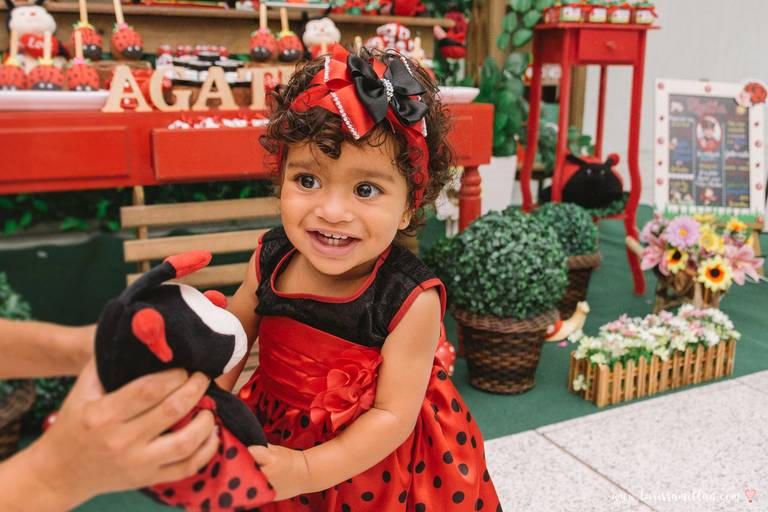 Festa Infantil e Barizado Barra da Tijuca RJ