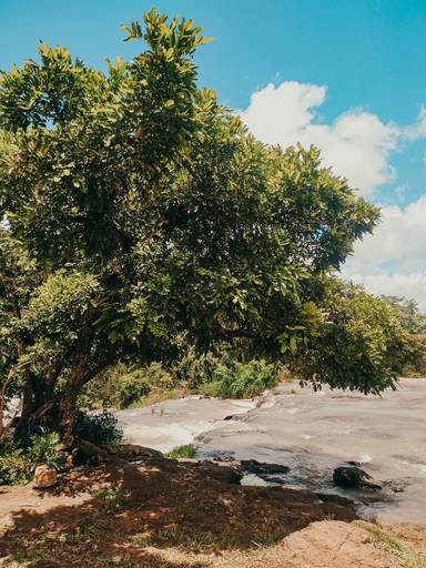 Cataratas de Itaguaçu 