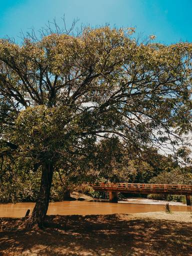 Cataratas de Itaguaçu 