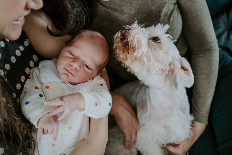 Ensaio newborn em Brasília