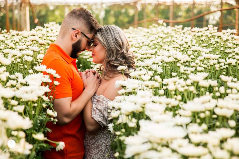 ensaio pre wedding em holambra sp  fotografado por maiara dias campinas sp