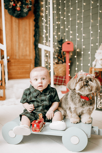 cenario de natal, casa do papai noel, moto elétrica, estídio fotografico em jau, fotografia infantil, bauru, dois córregos, fotos de natal, familia, 