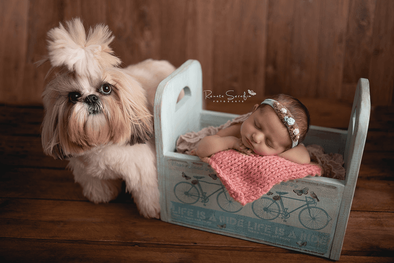 fotografia newborn*, fotos de recem nascido*, fotos newborn*, newborn bauru*, newborn de menina*, newborn de menino*, newborn*, recem nascido*, Renata Serafim*, sessão de bebe*, sessão newborn* newborn jau, foto recem nascido em jau, fotografo infantil