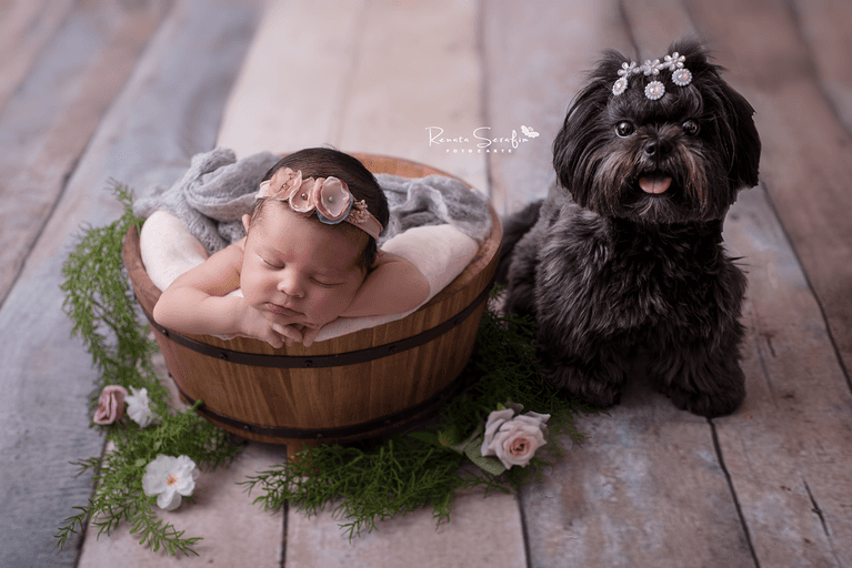 fotografia newborn*, fotos de recem nascido*, fotos newborn*, newborn bauru*, newborn de menina*, newborn de menino*, newborn*, recem nascido*, Renata Serafim*, sessão de bebe*, sessão newborn* newborn jau, foto recem nascido em jau, fotografo infantil