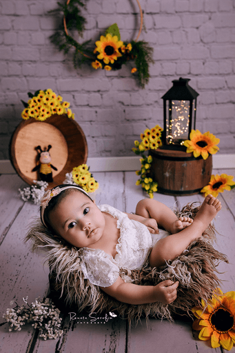 acompanhamento de bebe, bebes bauru. fotografia infantil, Book bebe, fotografia de crianças, fotografia de recem nascido, fotografo de bebe em jau, fotografo em jau, Renata Serafim