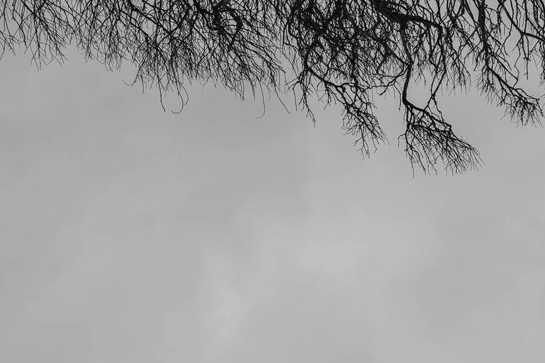 Fotografia Autoral/Conceitual em Belo Horizonte e Florianópolis