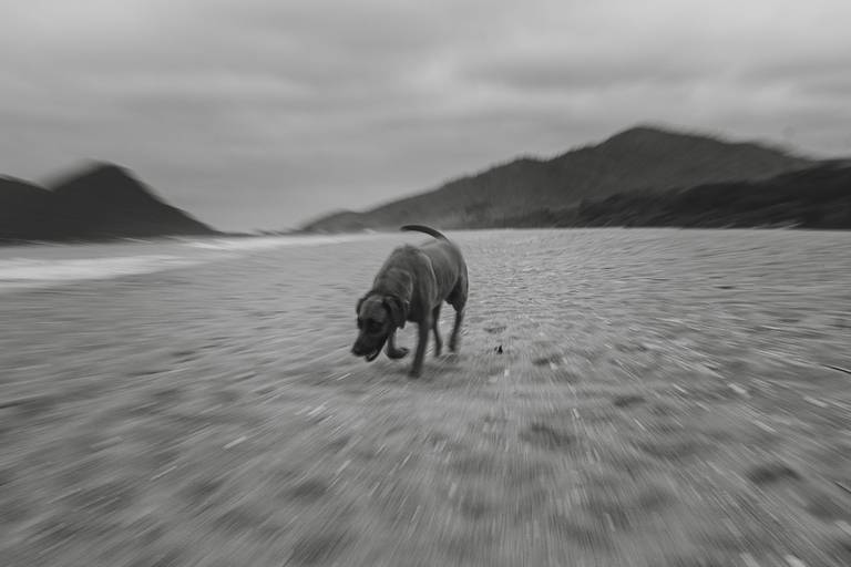 Fotografia Autoral/Conceitual em Belo Horizonte e Florianópolis