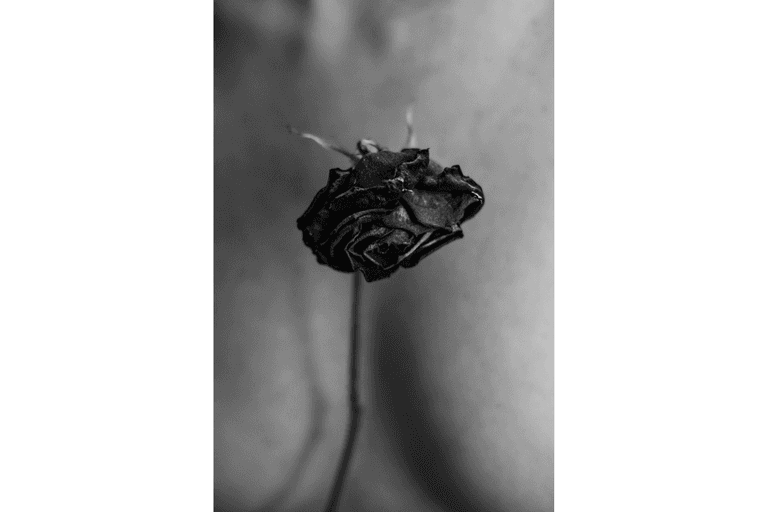 Fotografia Autoral/Conceitual em Belo Horizonte e Florianópolis