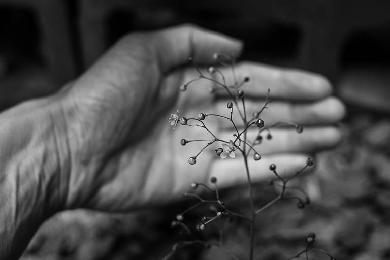 Fotografia Autoral/Conceitual em Belo Horizonte e Florianópolis
