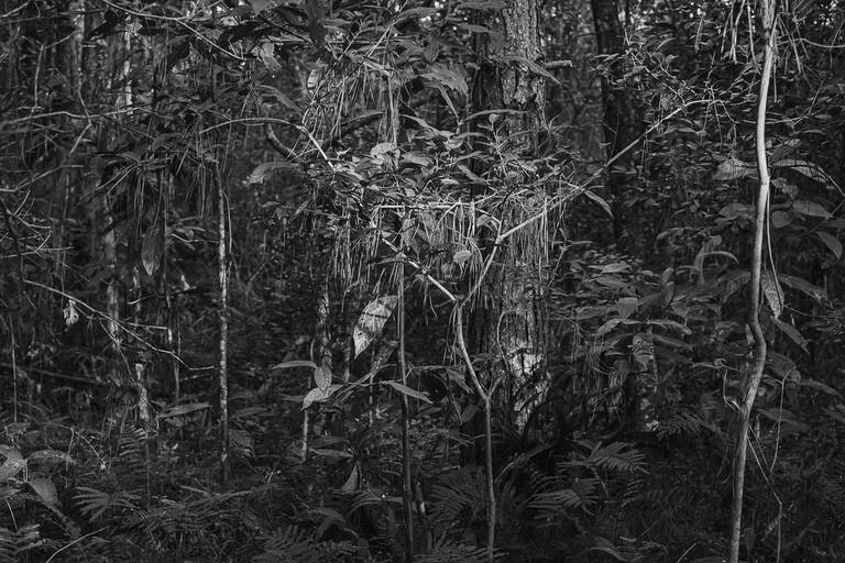 Fotografia Autoral/Conceitual em Belo Horizonte e Florianópolis