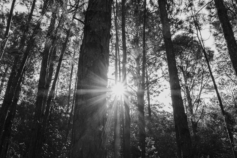 Fotografia Autoral/Conceitual em Belo Horizonte e Florianópolis