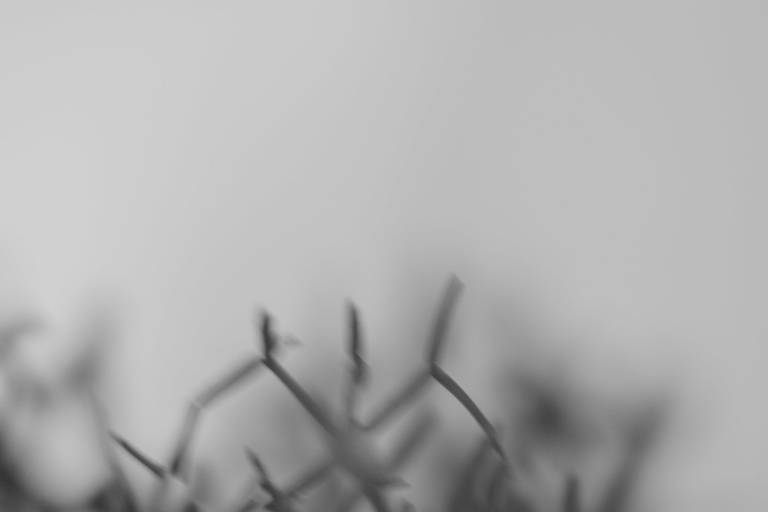 Fotografia Autoral/Conceitual em Belo Horizonte e Florianópolis