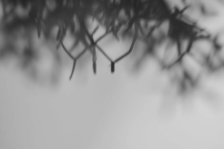 Fotografia Autoral/Conceitual em Belo Horizonte e Florianópolis