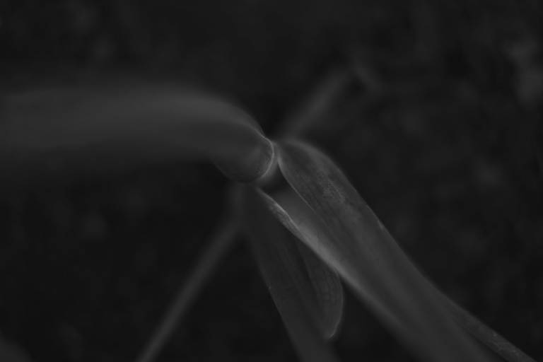 Fotografia Autoral/Conceitual em Belo Horizonte e Florianópolis