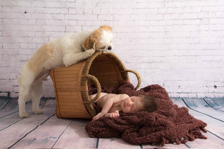 ensaio newborn, estudio fotografico para recem nascido, fotografia de criança, estudio fotografico de crinança mooca, estudio na mooca, ensaio bebê, ensaio de criança