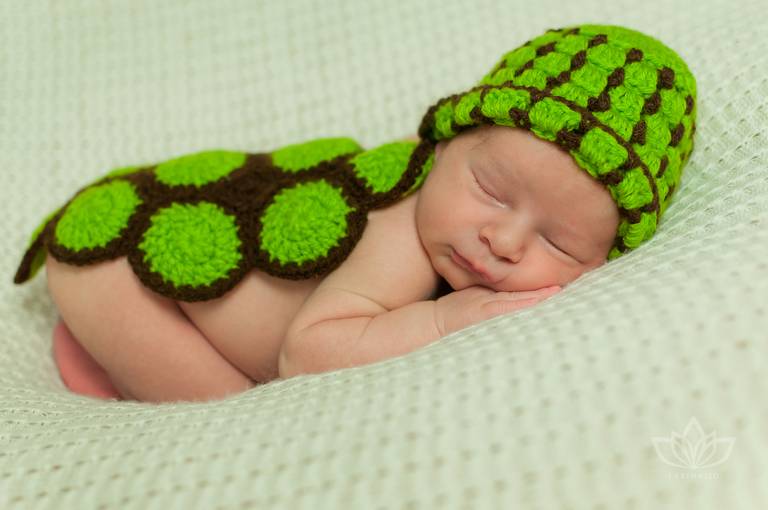 Ensaio Newborn com bebê menino recém nascido vestido de tartaruga.