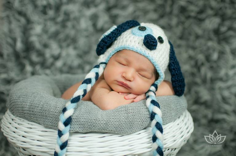 Ensaio Newborn com bebê menino recém nascido dentro de cesto com touca de cachorrinho azul e branca.