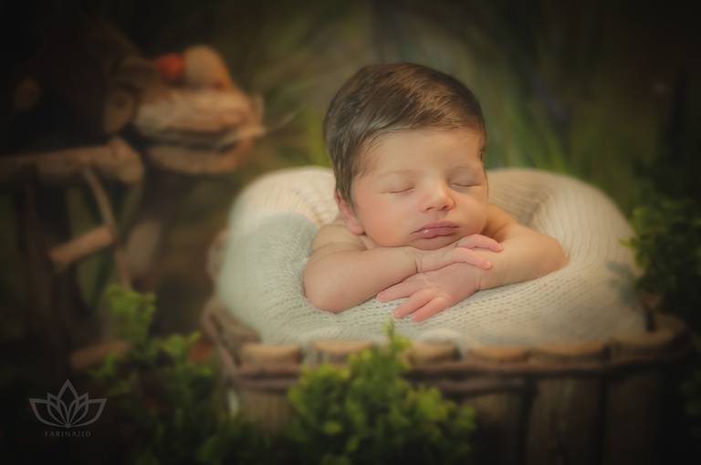 Ensaio Newborn jardim secreto com bebê recém nascido dentro de cesto rústico. 