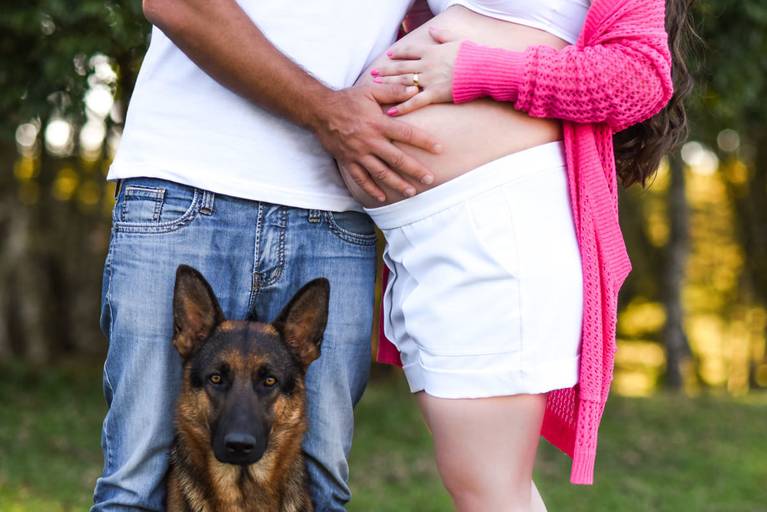Ensaio gestante no campo, com o marido e o cachorro pelo melhor fotógrafo de Curitiba e Campo Largo, Michel Druziki.