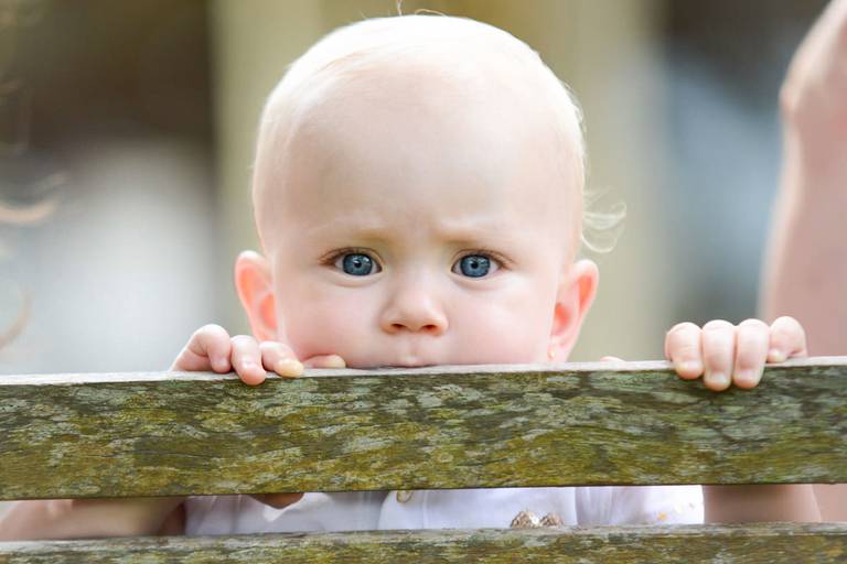 Família feliz, pai, mãe e filha fotografados pelo melhor fotógrafo de Curitiba e Campo Largo, Michel Druziki. Bebê de olhos azuis olhando por cima da cerca
