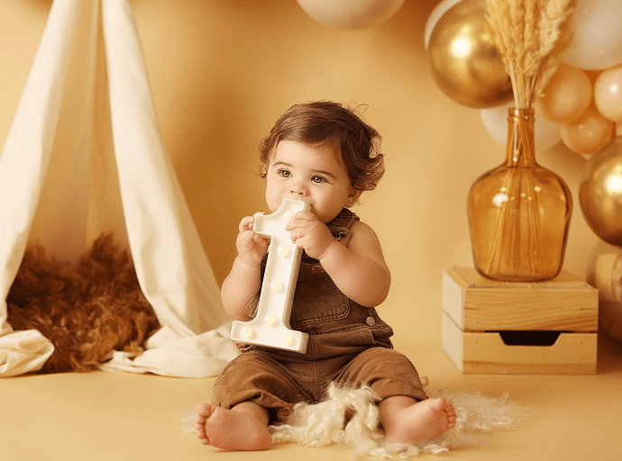 cake smash session boston massachussets  jhdhd