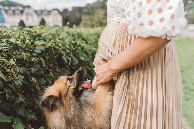 ensaio gestante em Petrópolis, fotos de gestante, gestação, grávidas, fotografia gestacional, estúdio em Petrópolis, fotos de gestante externas, fotos de gestante em estúdio, momentum photographia, referencia em fotos de gestante