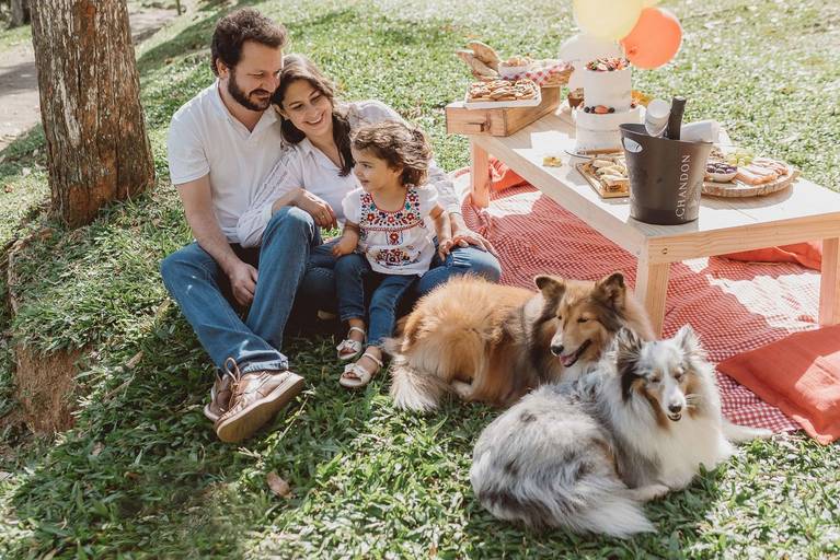 fotografia de família em Petrópolis, ensaio de família, fotos de família, momentum photographia, ensaio em casa, ensaios externos, Petrópolis, RJ