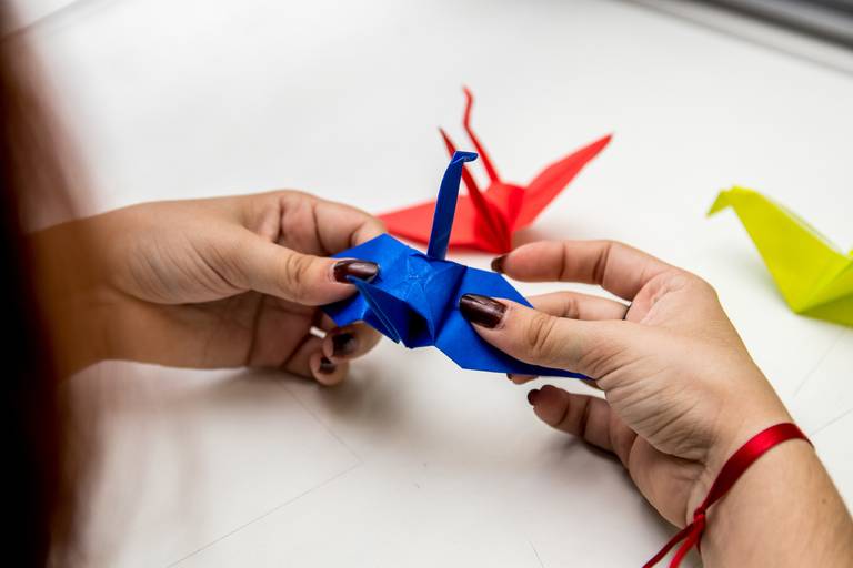 Cobertura do evento interdisciplinarer IDEAR, realizado durante dois dias na universidade São Judas - Campo Unimonte