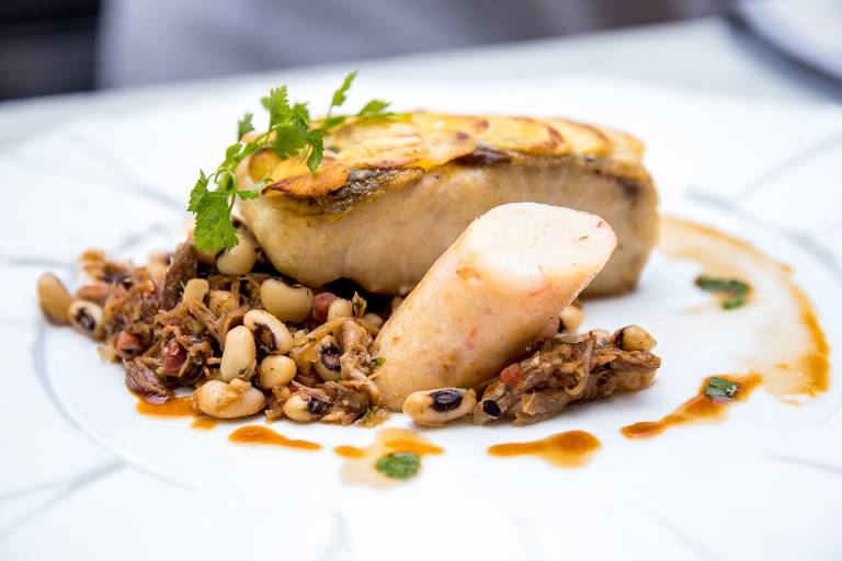 Cobertura do evento interdisciplinarer IDEAR, realizado durante dois dias na universidade São Judas - Campo Unimonte