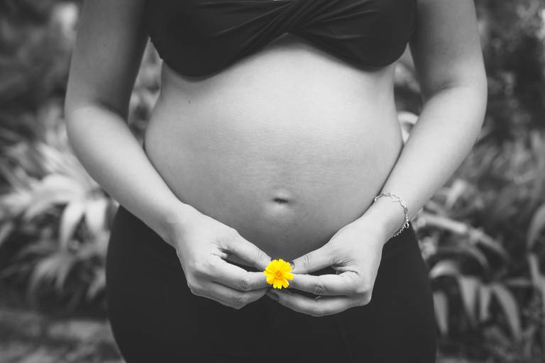 Gestante Parque Lage