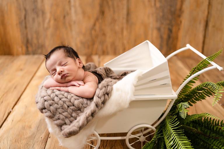 ensaio newborn - São Paulo - Barueri -vanessa durazzo
