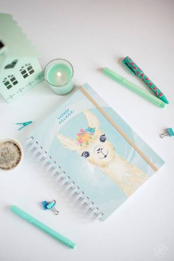 fotografia para emprendedores, branding shoot , personal btanding, marca personal, la paz bolivia 